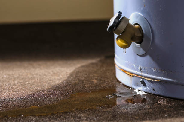 Best Flood damage cleanup  in Mount Ida, AR