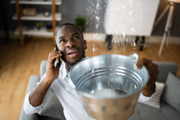 Best 24/7 water damage repair  in Mount Ida, AR