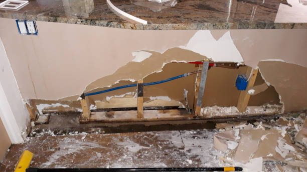 Best Commercial water damage restoration  in Mount Ida, AR