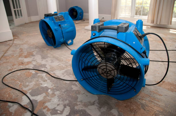 Best Water damage restoration near me  in Mount Ida, AR