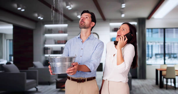 Best Basement water damage restoration  in Mount Ida, AR